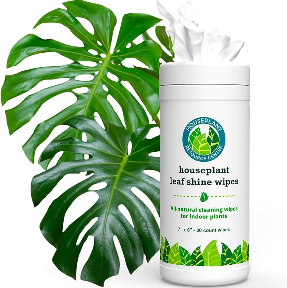 Houseplant Leaf Shine & Cleaner Wipes for Indoor & Outdoor Plants, 30 Count | Amazon (US)