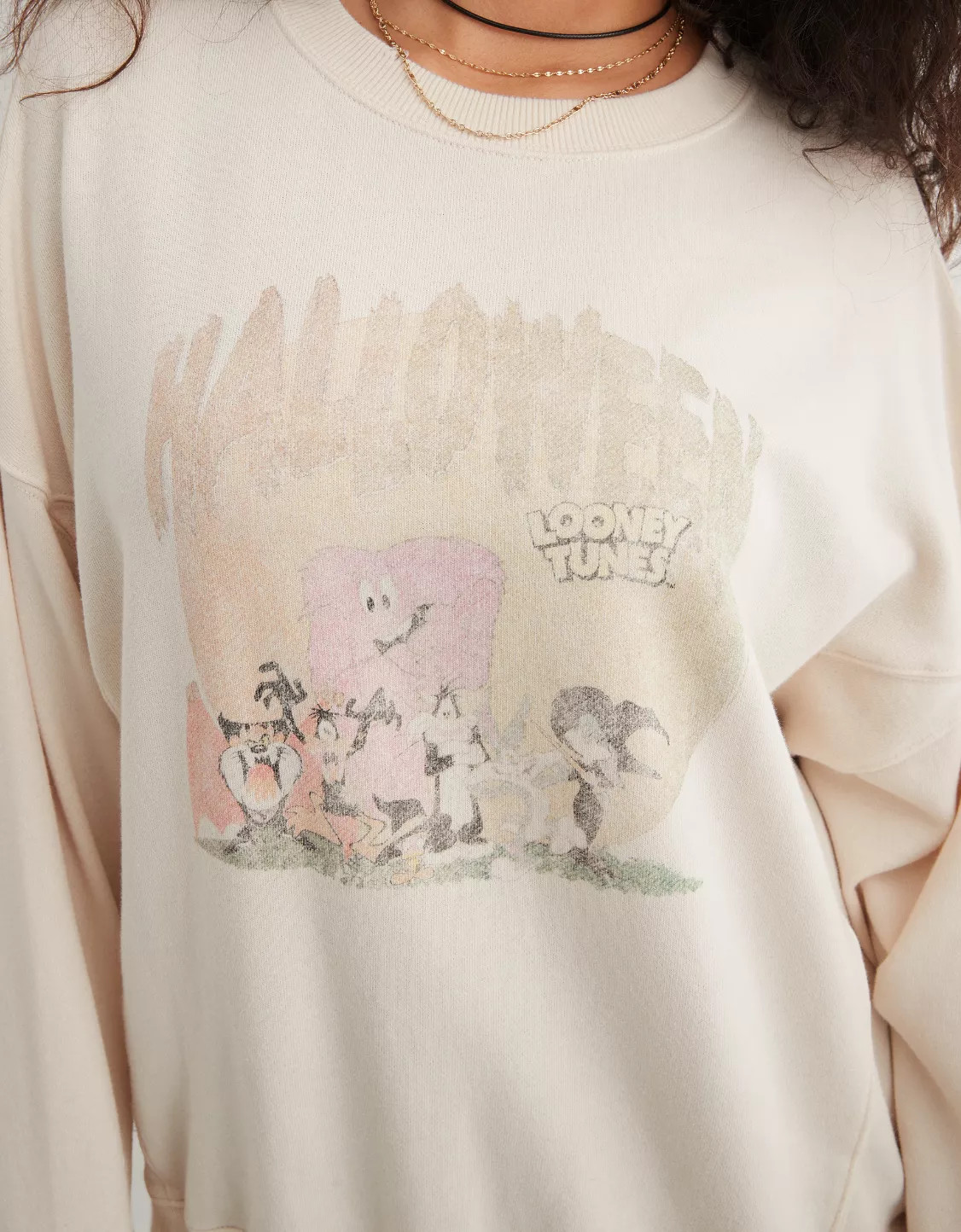 Aerie The Chill Crew Sweatshirt | Aerie