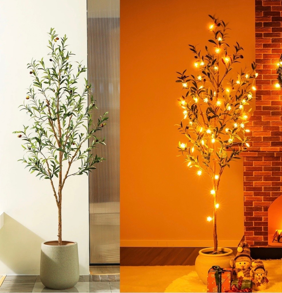 Viral Olive tree on sale! For $22 only.. 6ft for $33..!! Early Black Friday deal🥳

#LTKSaleAlert #LTKFindsUnder50 #LTKCyberWeek