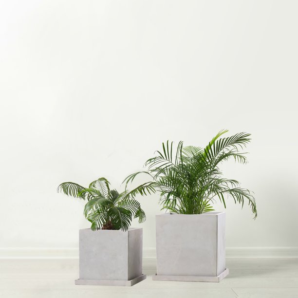 Myknonos Square Plant Pot Set with Saucers - Light Gray Ceramic Cement Indoor & Outdoor Planters ... | Walmart (US)