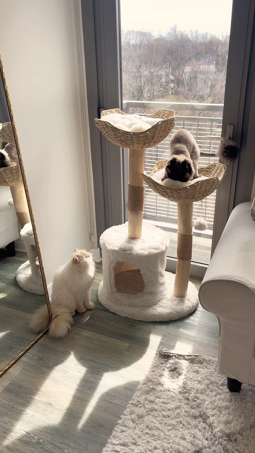 Amazon must haves | Amazon finds | viral Amazon find | Amazon home decor | affordable home decor | | gifts for her Amazon home finds | amazon luxury finds | amazon aesthetic home

Affordable home decor | elevated home decor | elegant home decor | neutral home decor | white home decor | aesthetic home | home finds under $50 |  | apartment decor | affordable apartment finds | apartment finds | look for less | gift ideas | cat mom | cat tree | cat home finds | pets | aesthetic pet furniture 

#LTKSaleAlert #LTKdayinmylife #LTKHome