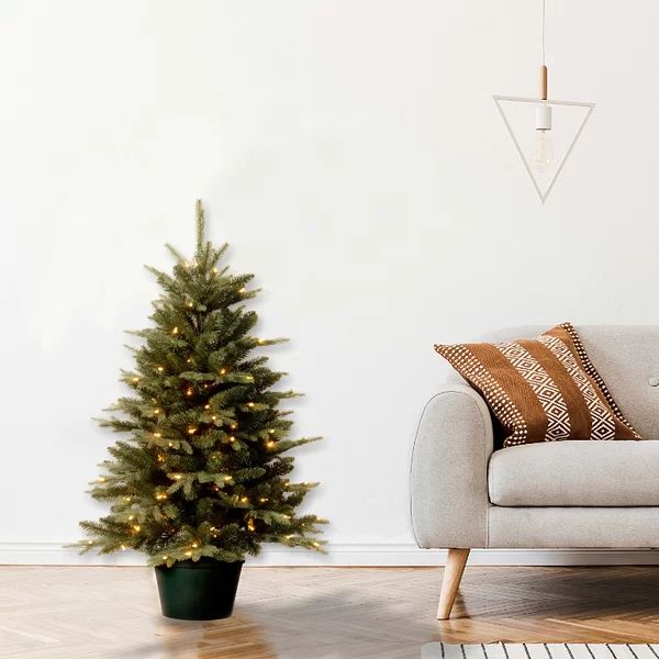 Evergreen 3' Green Pine Artificial Christmas Tree with 100 Clear Lights | Wayfair North America