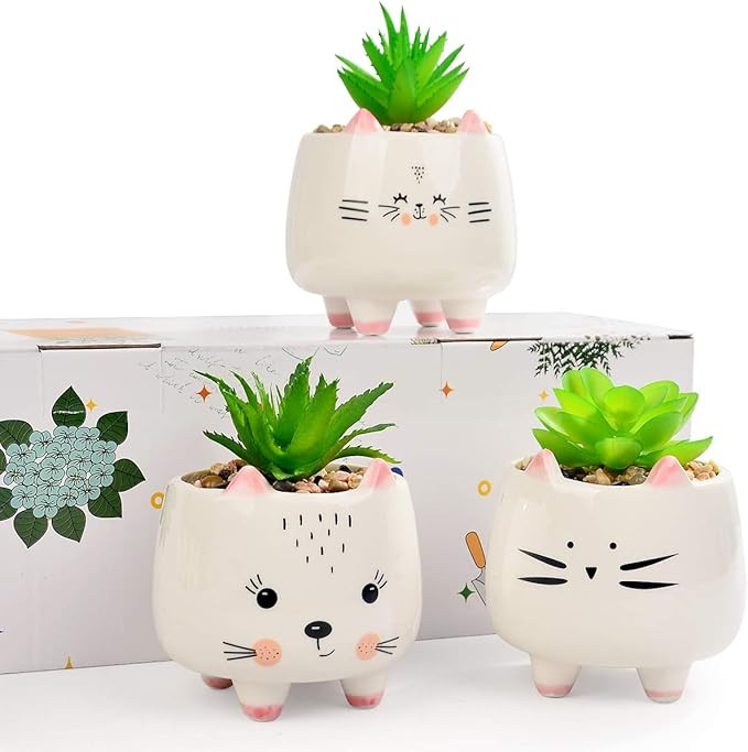 B SEPOR 3 Little Kitty Cats Small Artificial Succulents Potted with White Porcelain Pots Ceramic ... | Amazon (US)