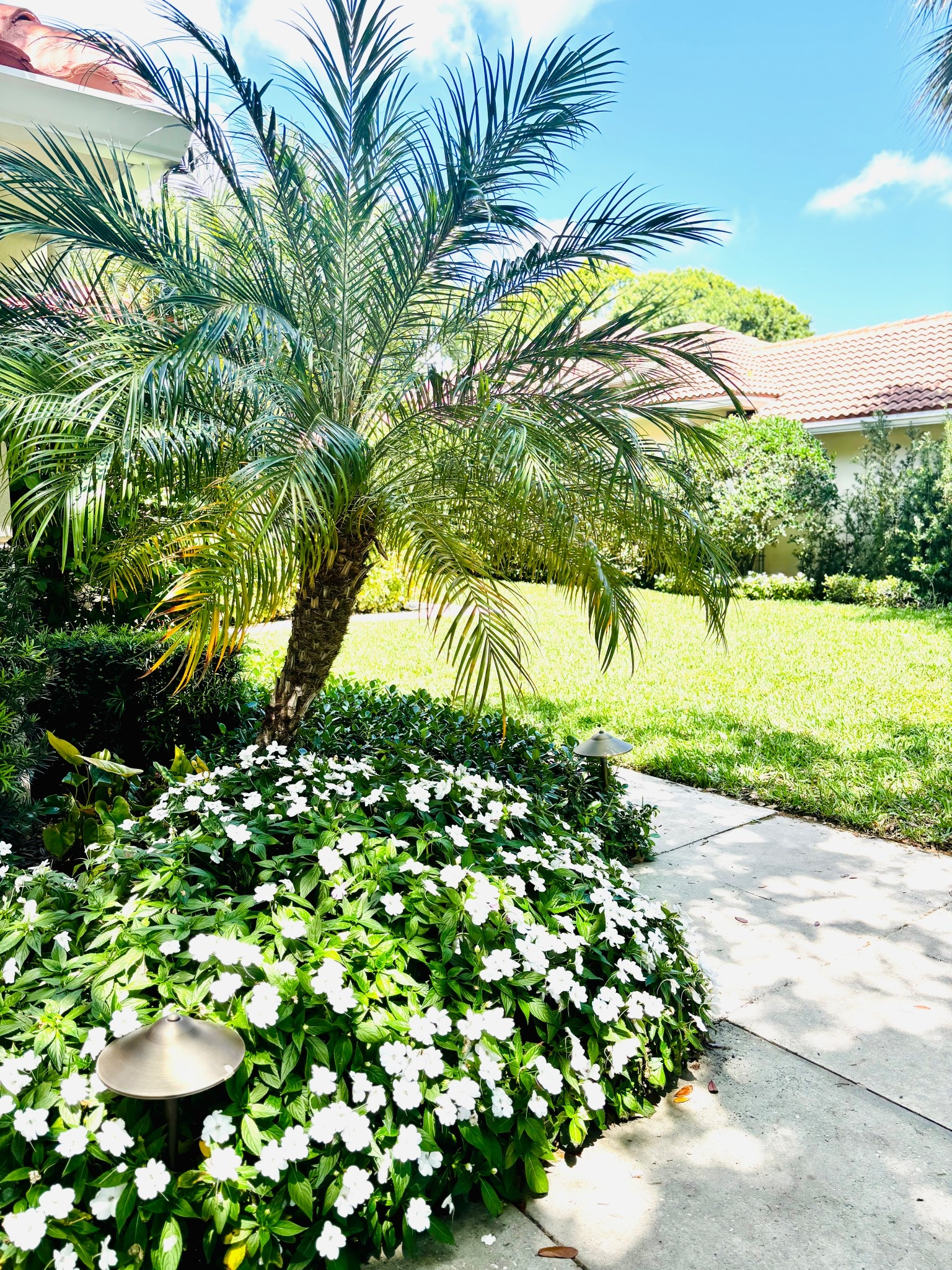 Outdoor garden outdoor lighting flowers 

#LTKdayinmylife