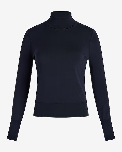 Silky Soft Fitted Turtleneck Sweater | Express