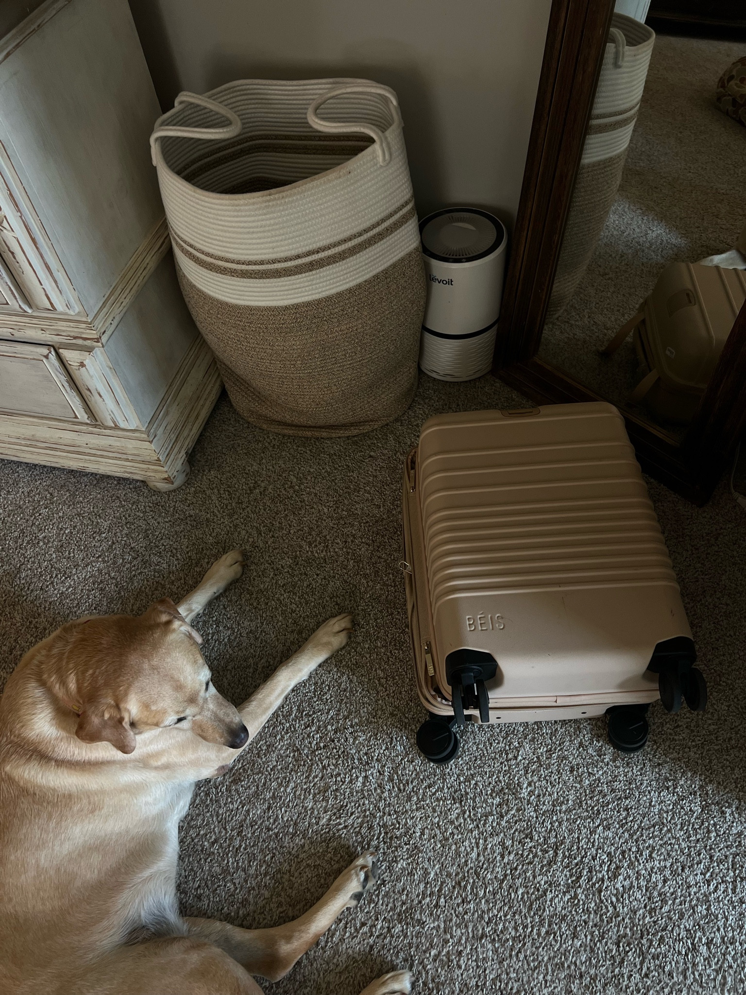 Luggage! #béis



#LTKFindsUnder100 #LTKTravel #LTKSaleAlert