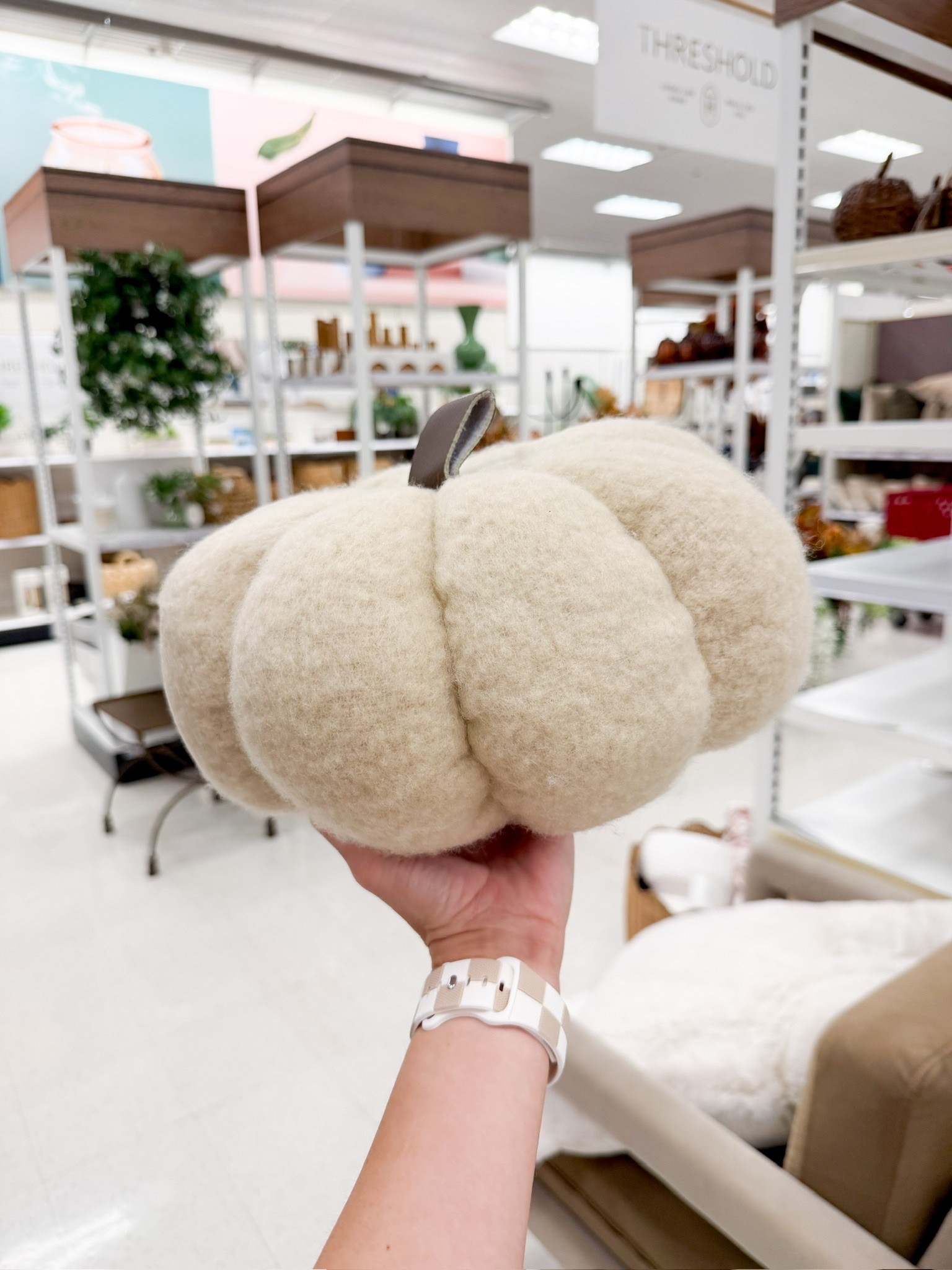 Plush pumpkins make great fall bedroom decor!

//
Plush pumpkins 
Pumpkin pillows 
Fall bedroom decor

#LTKdayinmylife #LTKSeasonal #LTKHome