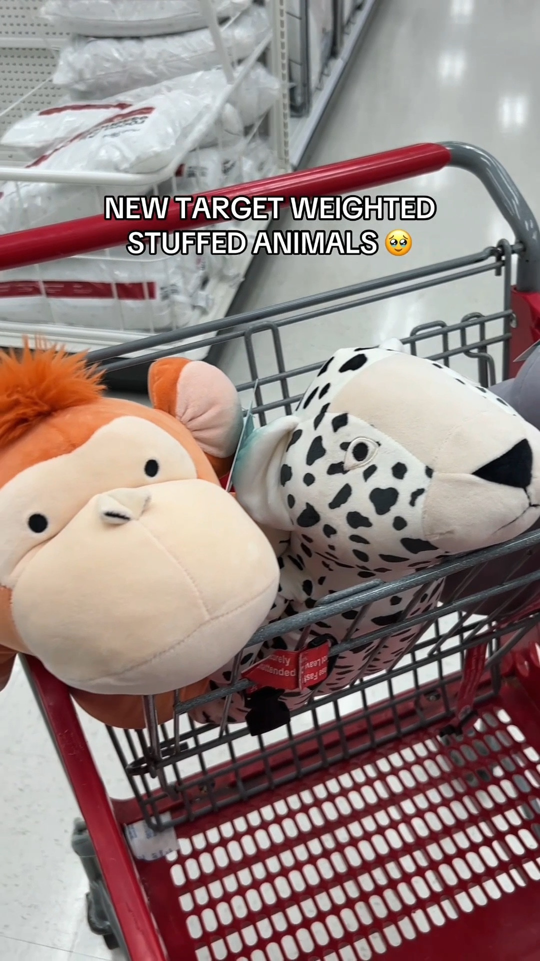 New weighted stuffed animals at Target!!🥹 They have a sloth, monkey, and cheetah!

#stuffedanimal #Target #plushtoy #weightedstuffedanimal #cheetah #giftguide 

#LTKKids #LTKHome #LTKFindsUnder50
