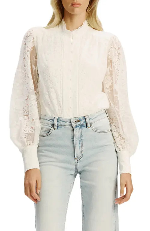 Bardot Olessia Lace Bodysuit in Ivory at Nordstrom, Size 6 | Nordstrom