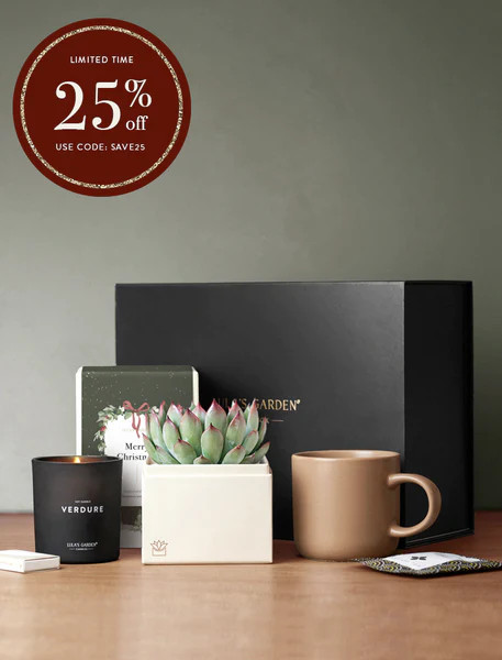 Christmas Bliss Gift Set | Lula's Garden