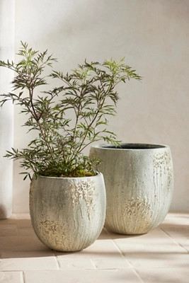 Barnacle Fiber Concrete Egg Planter | Anthropologie (US)