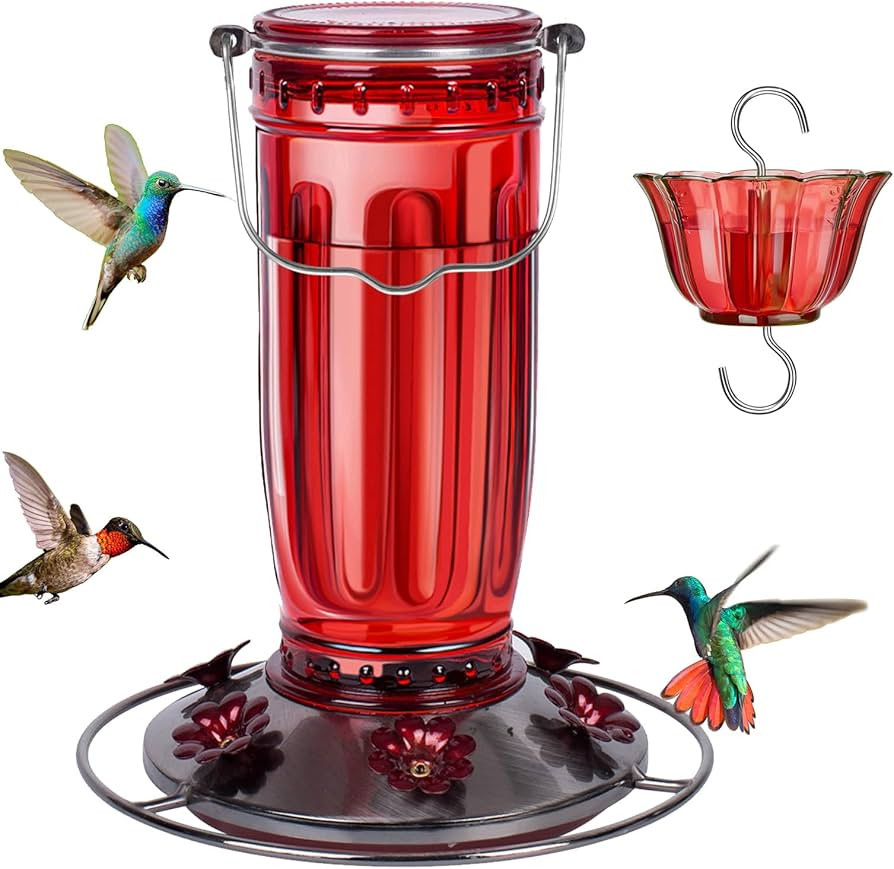 Kingsyard Glass Hummingbird Feeder for Outdoors Wild Bird Feeder with 6 Feeding Ports Hanging for... | Amazon (US)