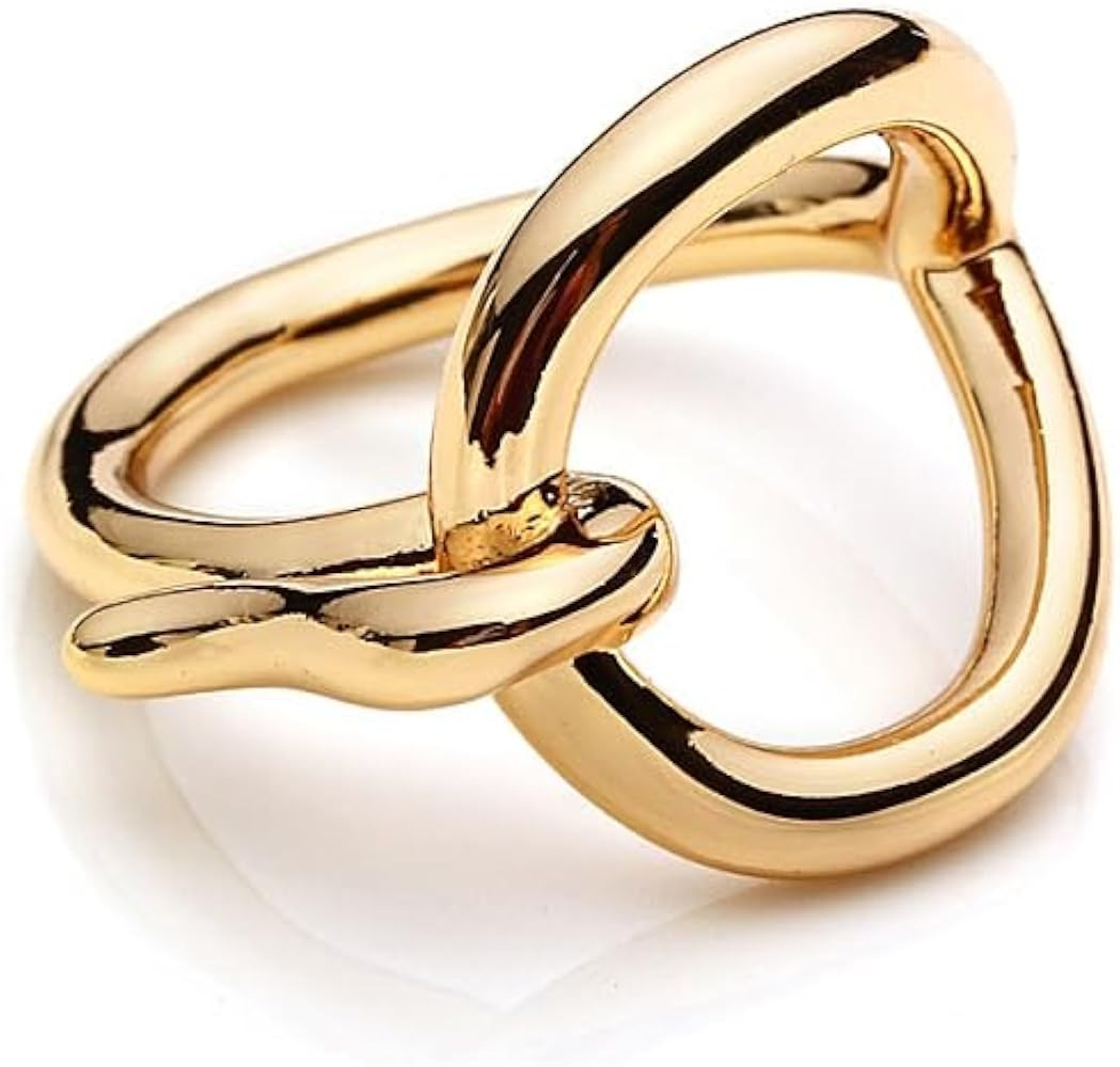 Dtja Round Love Knot Silk Scarf Ring Brooch for Women Girls Minimalist Small Geometric Fashion Ch... | Amazon (US)