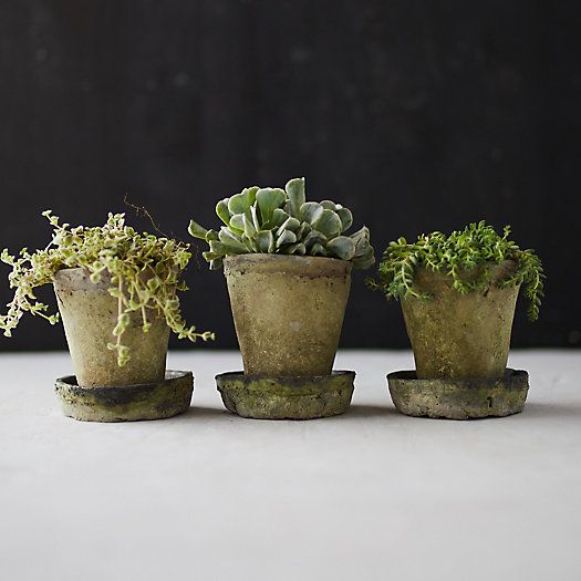 Earth Fired Clay Herb Pot + Saucer, Set of 3 | Terrain