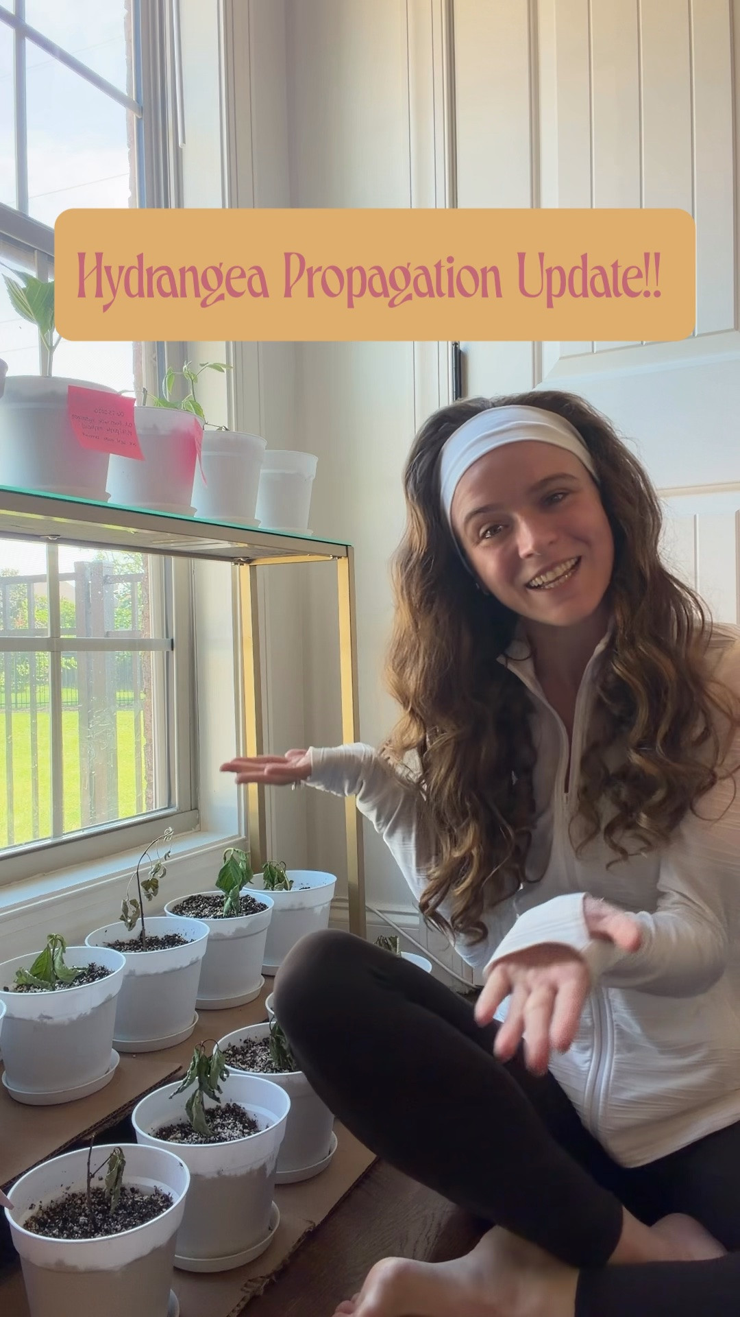 Hydrangea propagation update!! I’ve been learning SO MUCH about growing my own little baby hydrangeas, and I’m so exited to see if these guys take to root!!!!

#LTKHome #LTKSeasonal