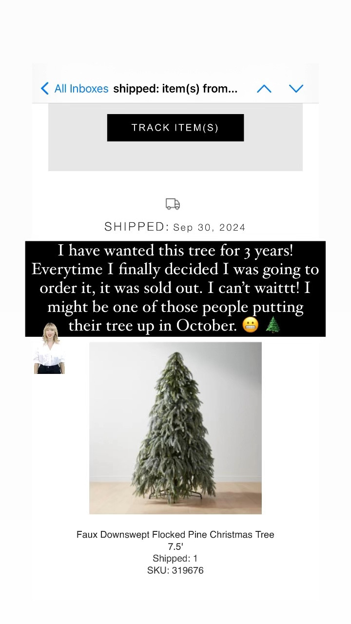 I have wanted this tree for three years! Every time I finally decided I was going to order it, it was sold out. I can’t wait! I might be one of those people putting up their tree in October. #cb2 #christmastree 

#LTKSeasonal #LTKFamily #LTKHome