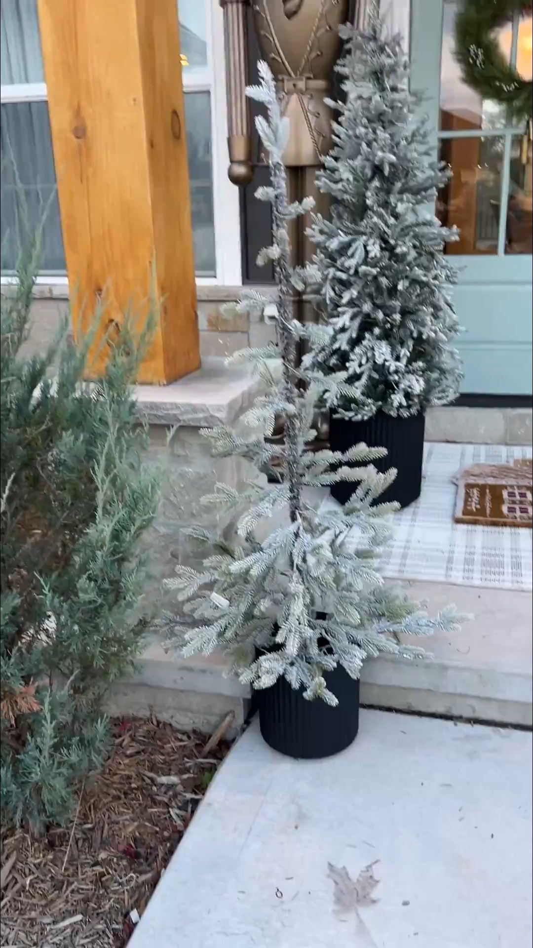 How cute is this tree Target! Planter is the 12” size! #LTKVideo 

#LTKHoliday #LTKSeasonal