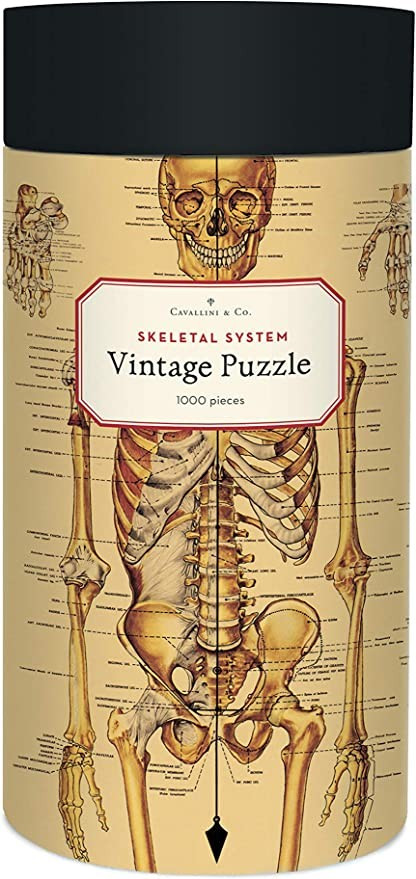 Cavallini Papers & Co. Skeletal System 1,000 Piece Puzzle, Multi | Amazon (US)