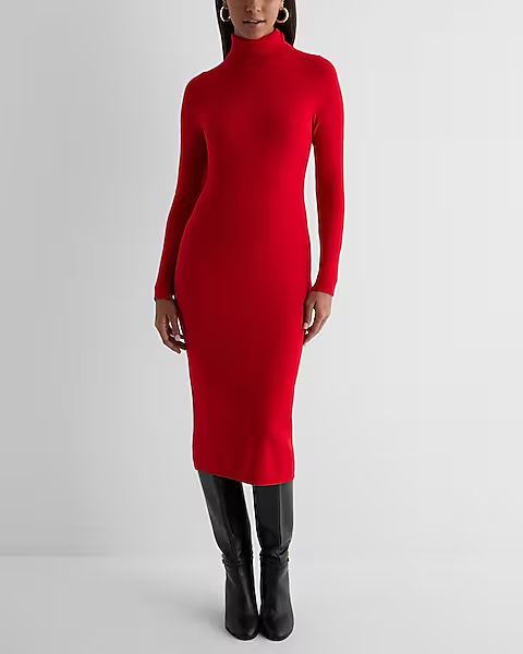 Turtleneck Long Sleeve Midi Sweater Dress | Express