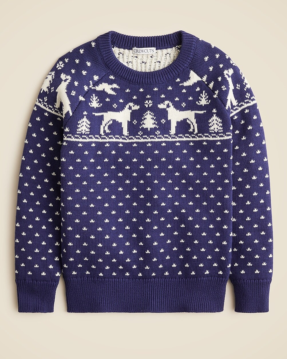 Boys' dog Fair Isle crewneck sweater | J. Crew US