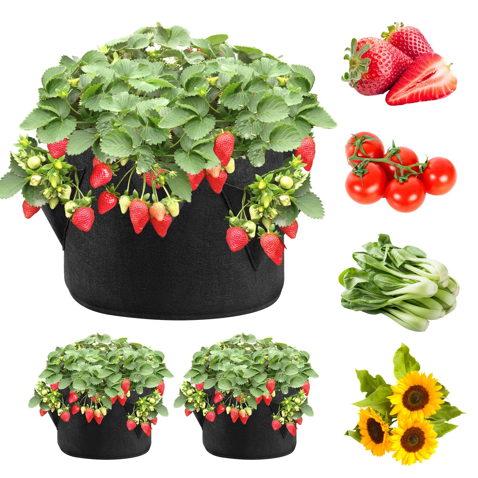 iPower Strawberry Grow Bags 3 Gallon 2-Pack, Planter Pots with 6 Side Growth Pockets Thickened Br... | Amazon (US)