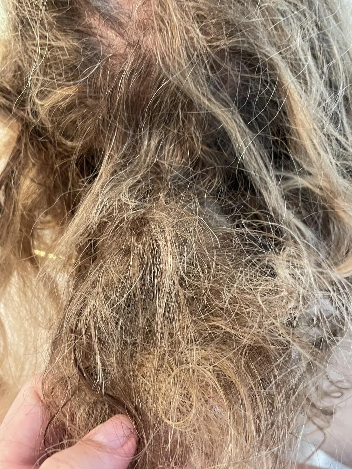 Nutrafol Conditioner, Physician-formulated for Thinning Hair, Moisturizing, Strengthening and Col... | Amazon (US)