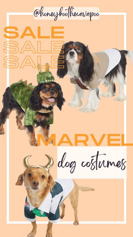 Buy one get one 50% off dog Halloween costumes at Chewy! Loki marvel Loki president Loki variant Disney superhero 


#LTKsalealert #LTKSeasonal #LTKHalloween