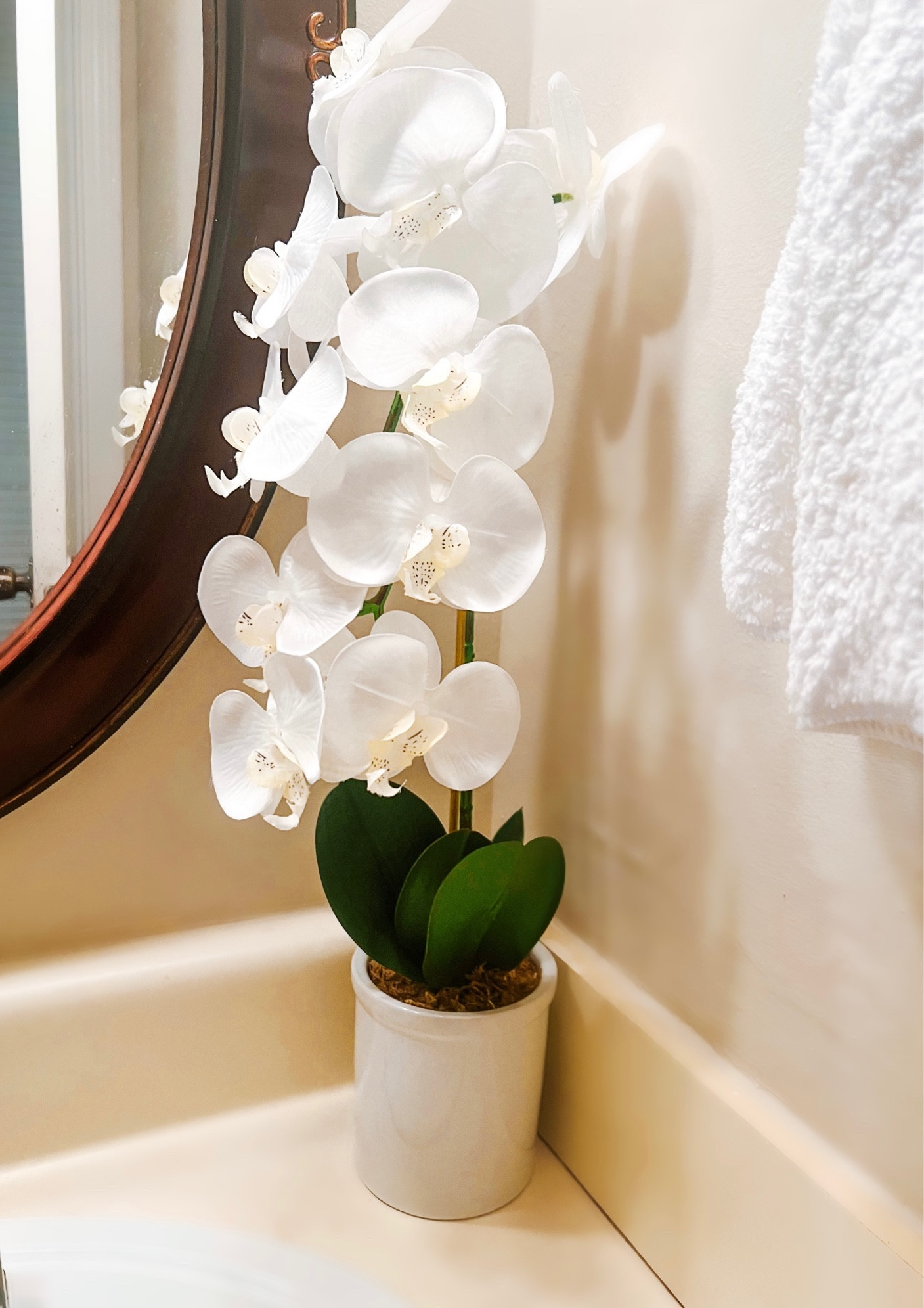 this faux orchid from Target>>😍 perfect decor for my bathroom 🤍

#LTKhome #LTKU #LTKunder100