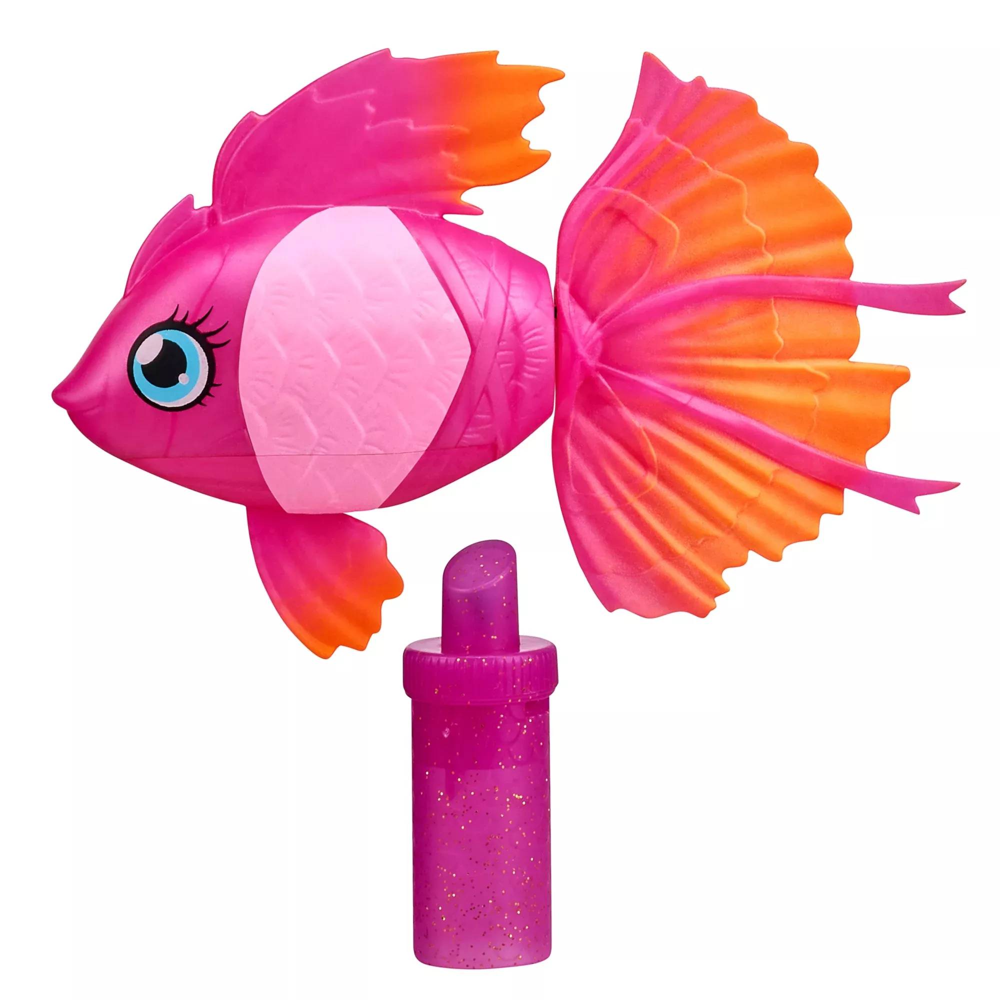 Dry Branch Sports Design Catch and Release Plastic Beach Aquarium Kit ,  Clear, Fish : Pet Supplies 
