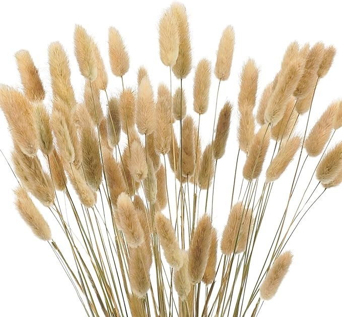 Uieke 60 Pcs Dried Pampas Grass Decor 45cm Natural Dried Bunny Tail Grass, Dried Lagurus Ovatus D... | Amazon (US)