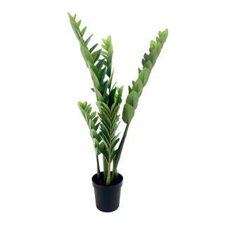 35" Potted ZZ Plant by Ashland® | Michaels Stores