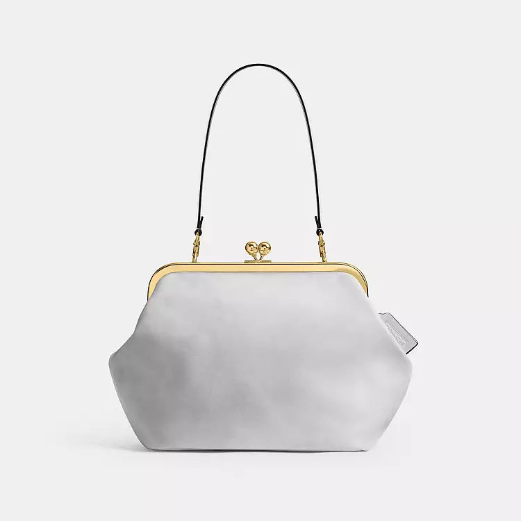 $650 | Coach (US)