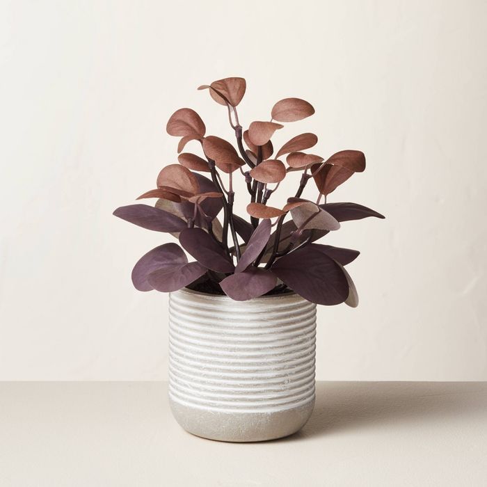 7.75&#34; Mini Faux Maroon Potted Plant - Hearth &#38; Hand&#8482; with Magnolia | Target