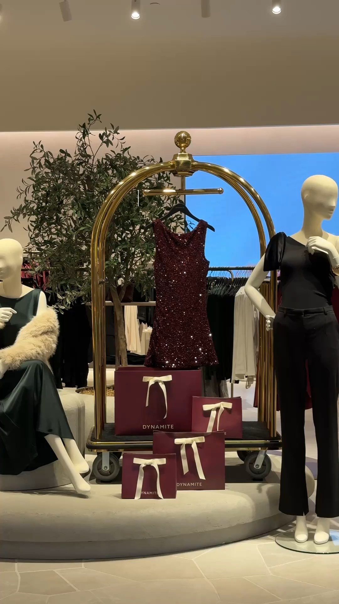 Holiday picks from Dynamite 

#LTKpartywear #LTKwinter #LTKstyletip