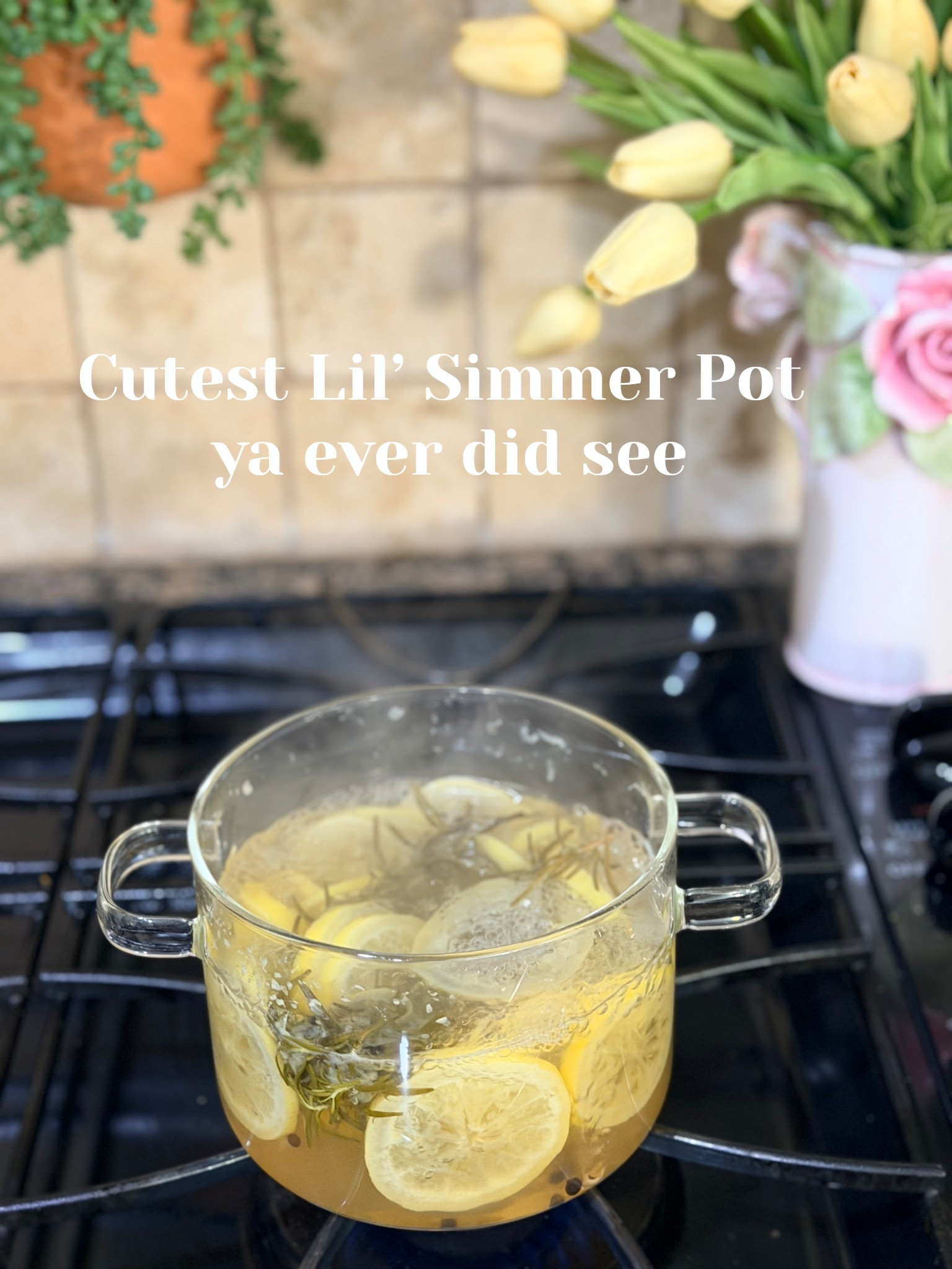 This glass simmer pot = my little secret for a home that smells expensive without even trying 🍋🌿
I’ve been using this on repeat for my citrus + rosemary simmer blends and it instantly gives that warm, cozy, “walked into Williams Sonoma” feeling… but simpler and way more affordable.
It’s pretty enough to leave out on the stove (which we love) and makes everyday homemaking feel a little more intentional ✨
Linking it here because this is one of those small things that makes a BIG difference in your home 🫶trends 

#LTKspring #LTKspringtrends #LTKHome