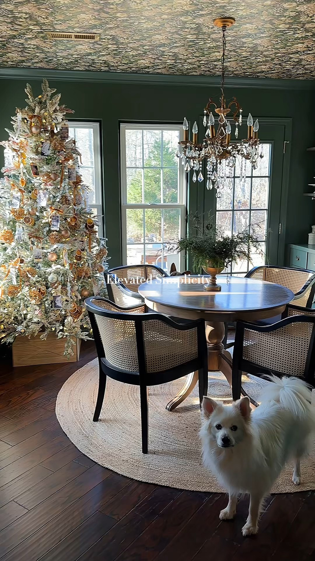 Cozy Christmas breakfast room with dark green walls, floral wallpaper ceiling, cane dining chairs, a warm wood pedestal table, and a braided jute round rug. I kept the holiday decor simple with a flocked Christmas tree, soft twinkle lights, and natural greenery for a classic, timeless look! 

#LTKSeasonal #LTKHoliday #LTKHome