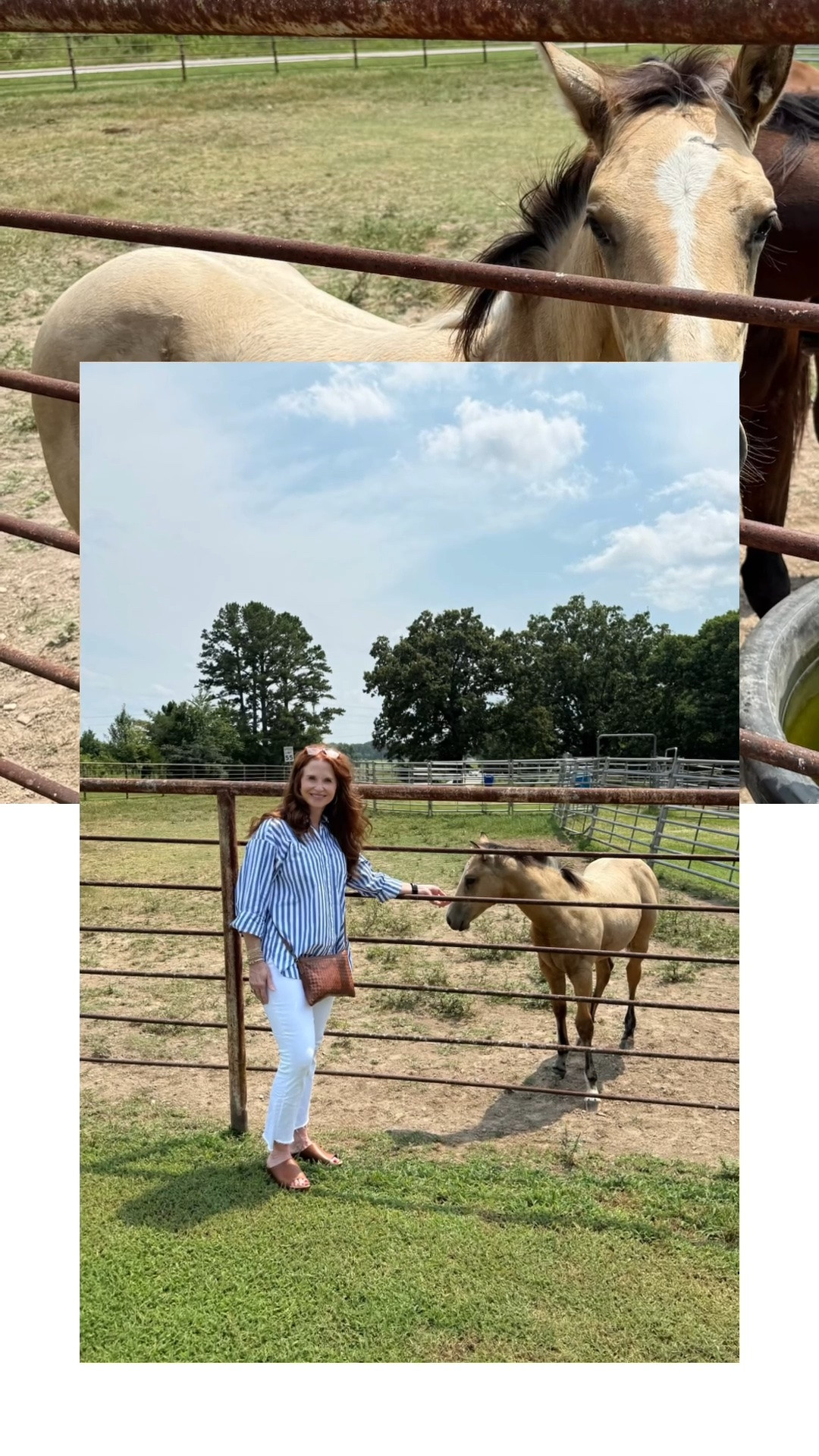 Home is one of my favorite places. 🤍 Ending the day with this sweet guy makes it even better.

Shop my look on LTK!

#LTKStyle #TexasStyle #HorseLife #EverydayFashion #CasualStyle

#LTKdayinmylife #LTKootd #LTKOver40