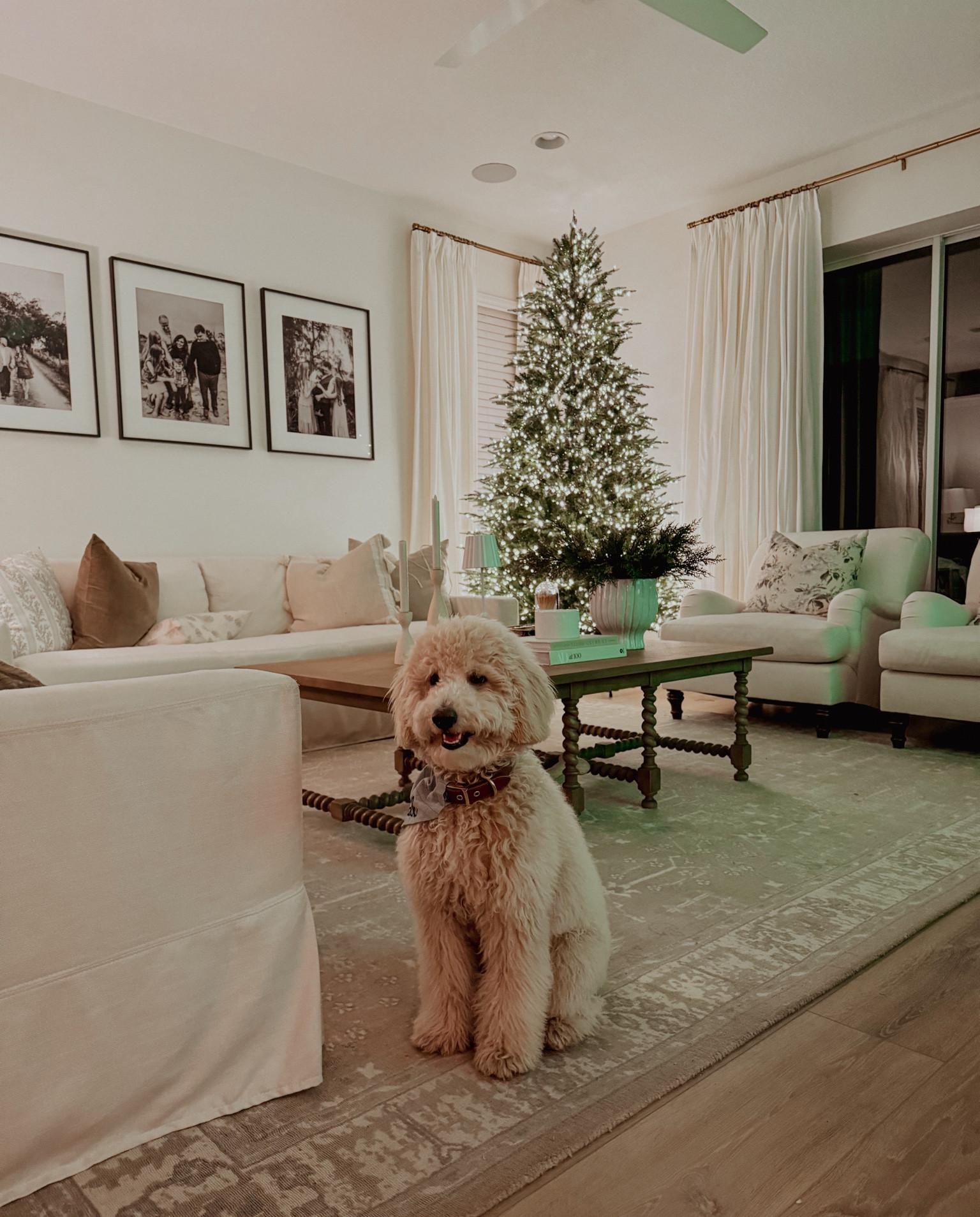 Viral Christmas Treee