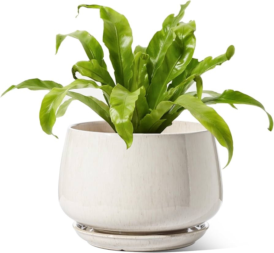 LE TAUCI Ceramic Planters, 10 Inch Pots for Plants, Indoor Plant Pots with Drainage Holes and Sau... | Amazon (US)