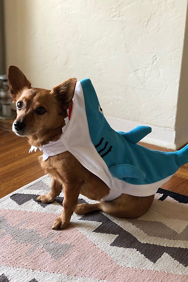 Shark Dog Halloween Costume | Urban Outfitters (US and RoW)
