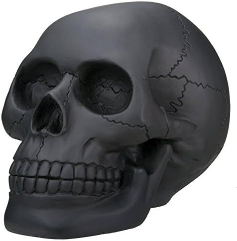 Black Skull Head Collectible Skeleton Decoration Statue | Amazon (US)