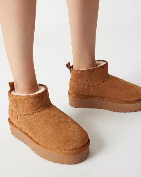 CRUE CHESTNUT SUEDE | Steve Madden (US)