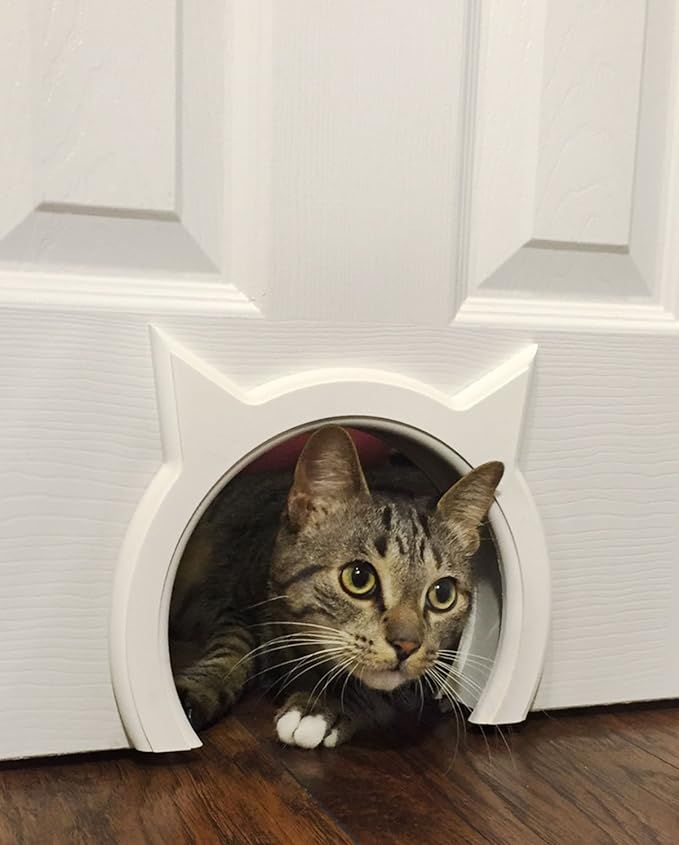 The Kitty Pass Interior Cat Door Hidden Litter Box Pet Door for Cats up to 21 lbs Pet Box | Amazon (US)
