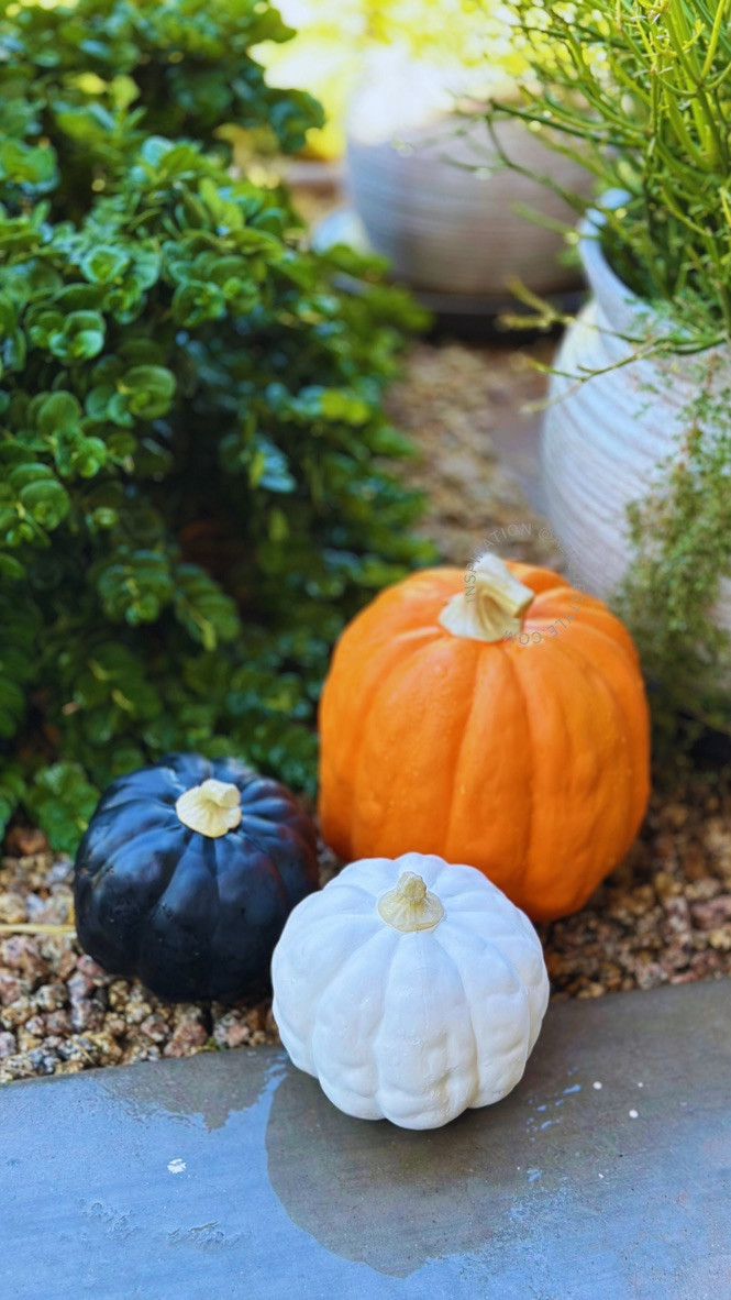 #LTKHome #LTKSeasonal #LTKHoliday