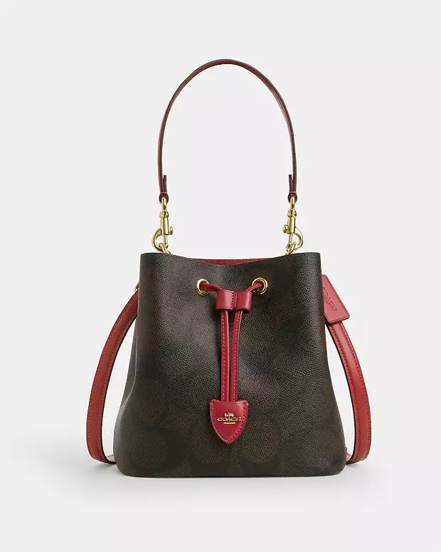 Rowan Bucket Bag In Maxi Signature Canvas | Coach Outlet US