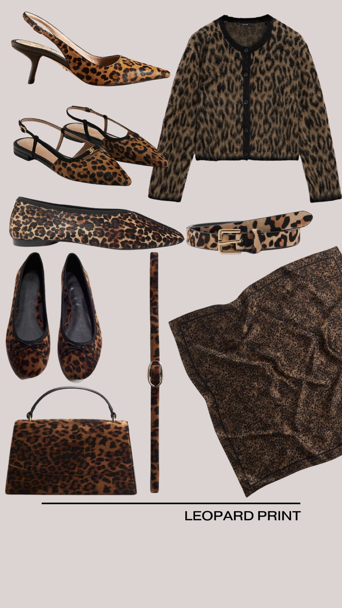 Leopard trend, ballet flats, silk scarf, belt, cardigann

#LTKStyleTip #LTKSeasonal