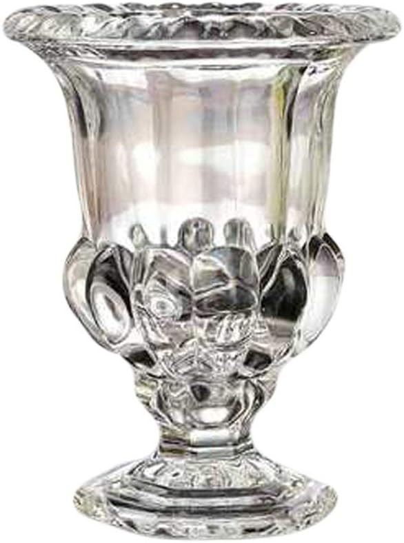 BD.Y Creative Gift European Transparent Vase Inserted Flowers Dried Flowers Glass Living Room Dec... | Amazon (US)