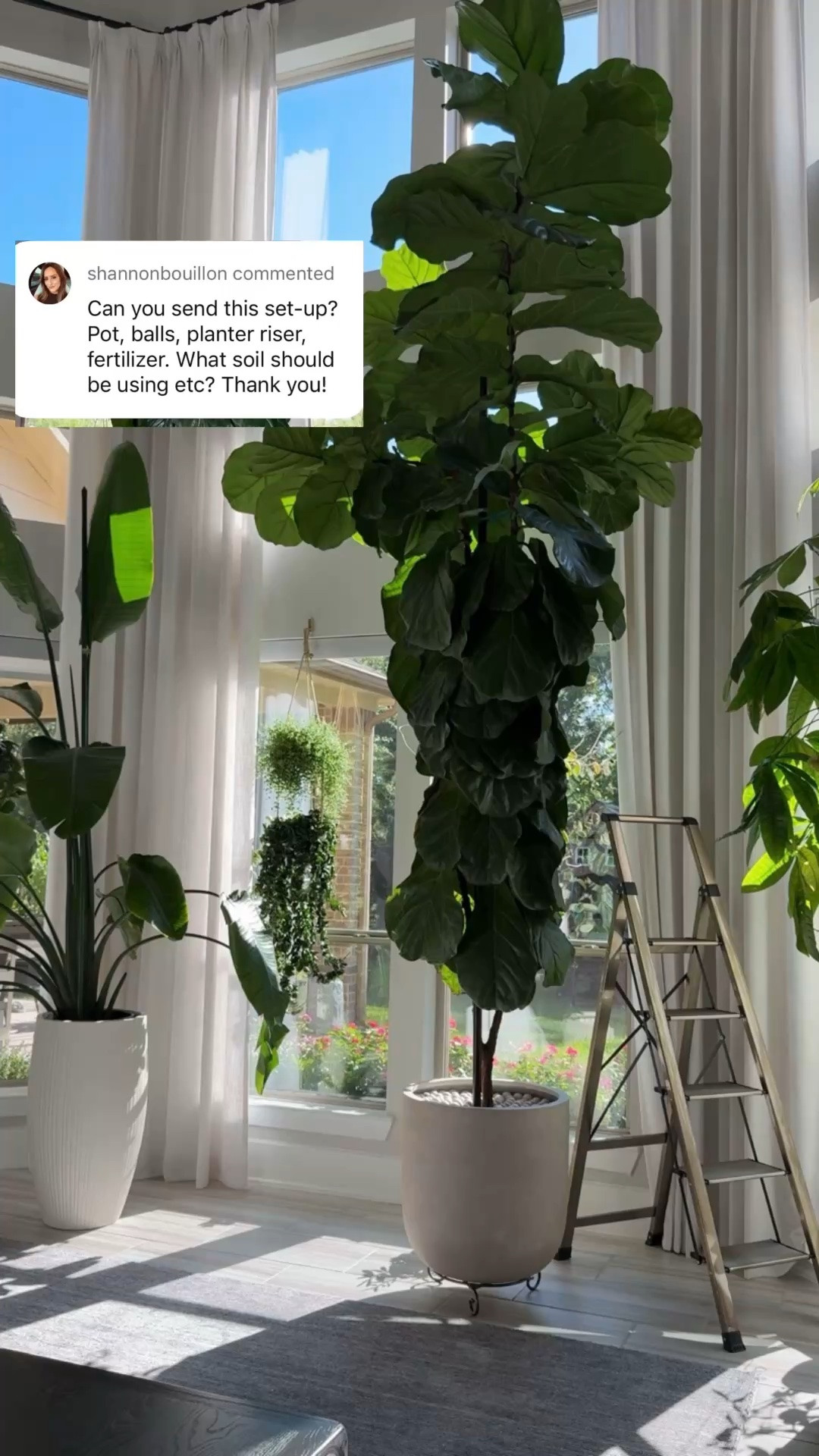 Here’s the total breakdown of this fiddle leaf fig statement plant 🪴

Comment “WANT” and I’ll send you the link!

#Plants #PlantCare #Houseplants #FiddleLeafFig #IndoorPlants