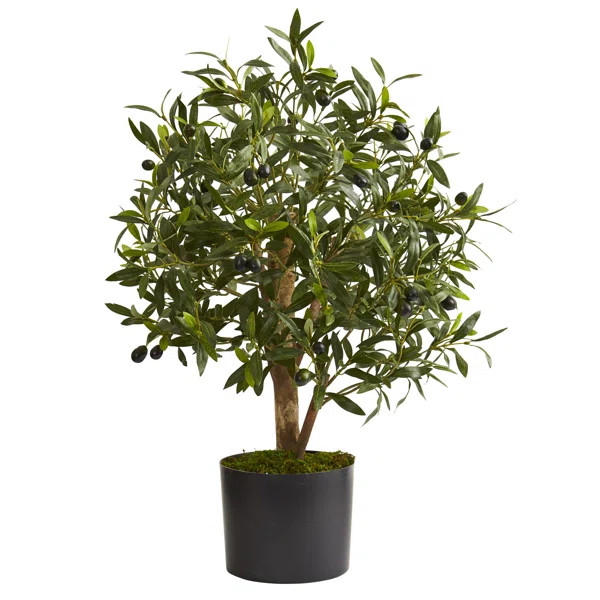 29'' Faux Olive Tree Tree in Planter | Wayfair North America