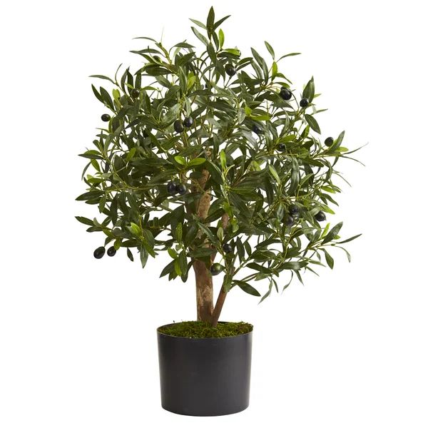29'' Faux Olive Tree Tree in Planter | Wayfair North America